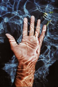 Mesenchymal stem cells collection, preservation and therapy