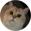 Mia Hua